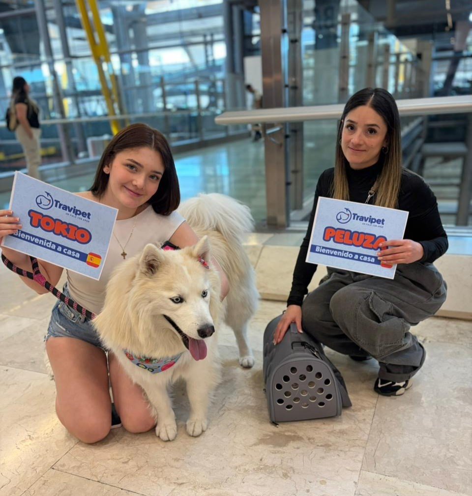 Mascota en aeropuerto
